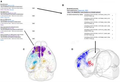 Translating single-neuron axonal reconstructions into meso-scale connectivity statistics in the mouse somatosensory thalamus
